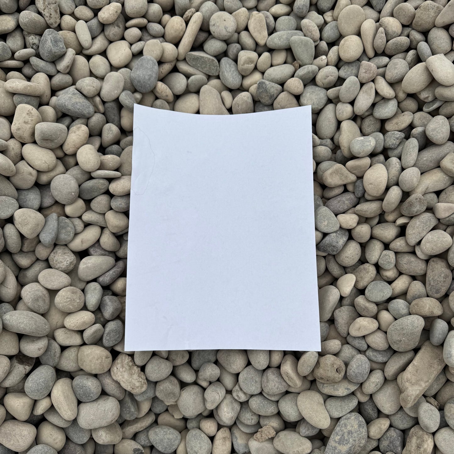 Glacier Cobble