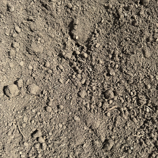 Screened Topsoil