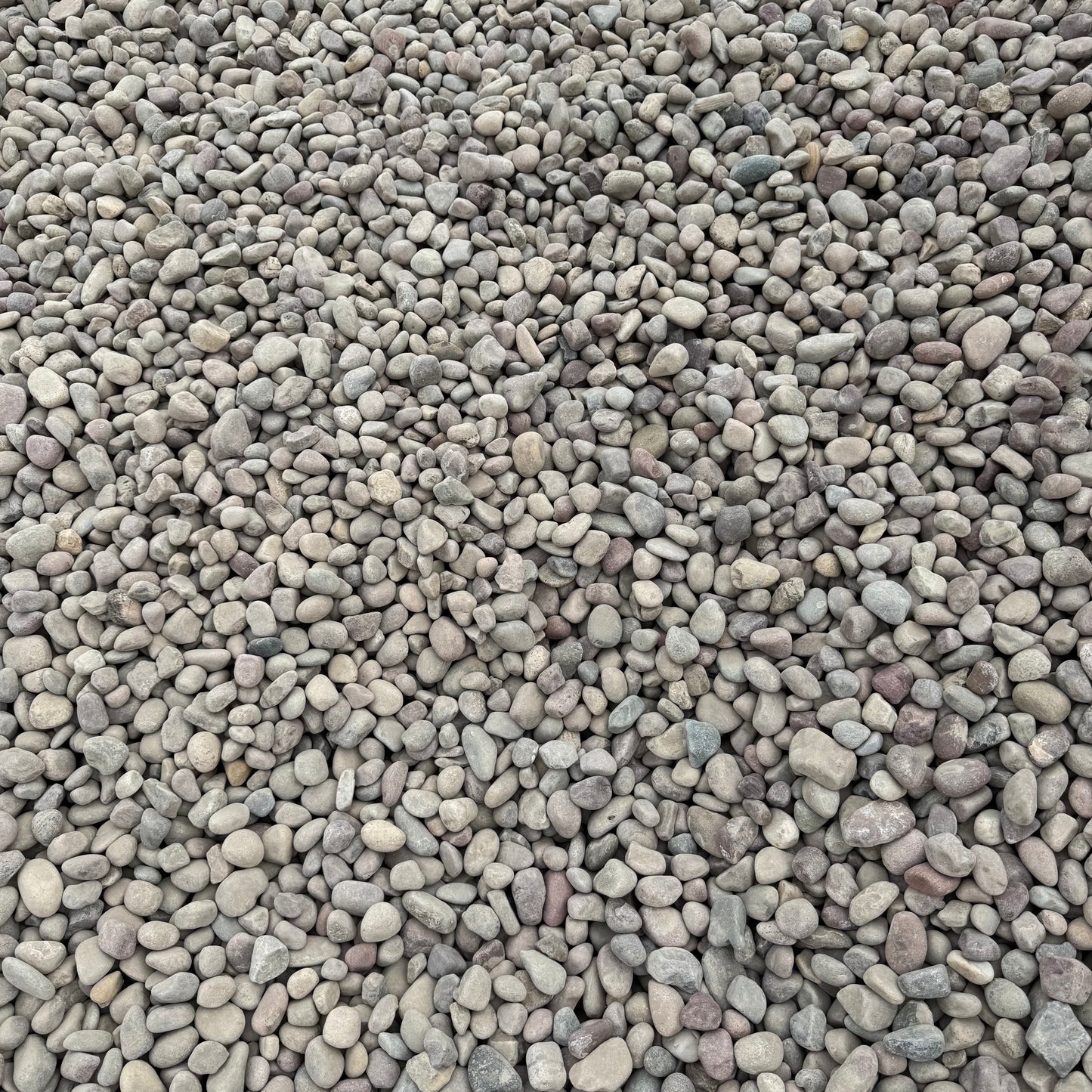 Rainbow Beach Cobble