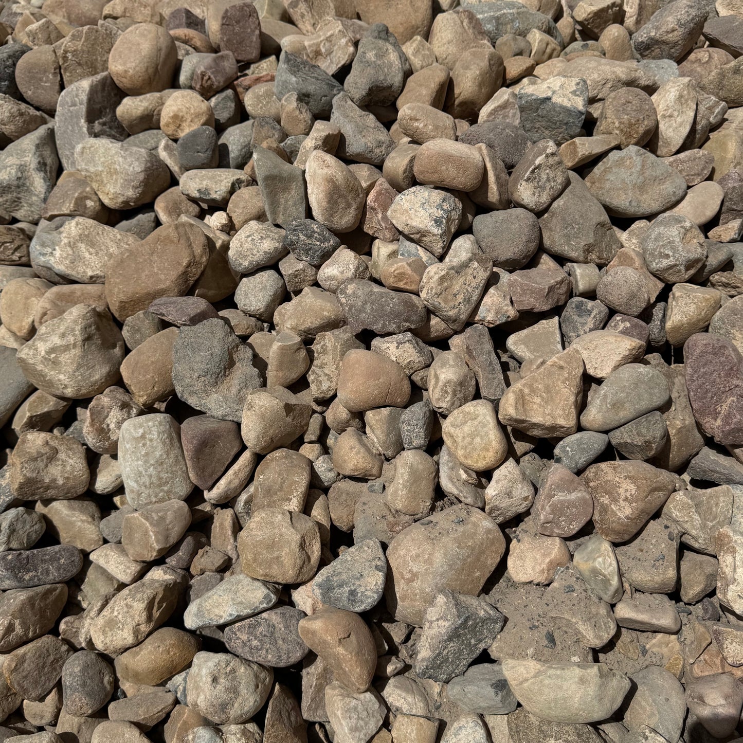 Nephi Cobble