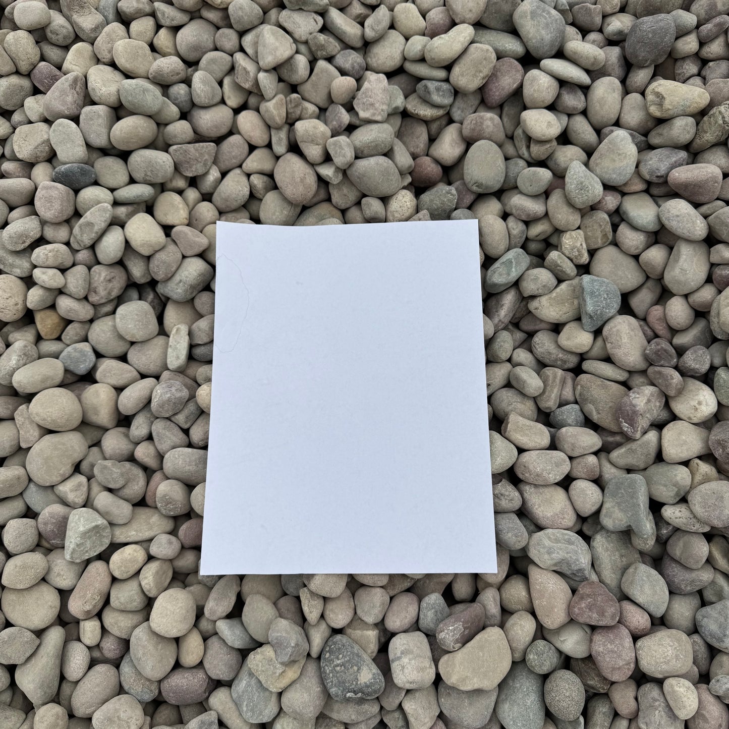 Rainbow Beach Cobble