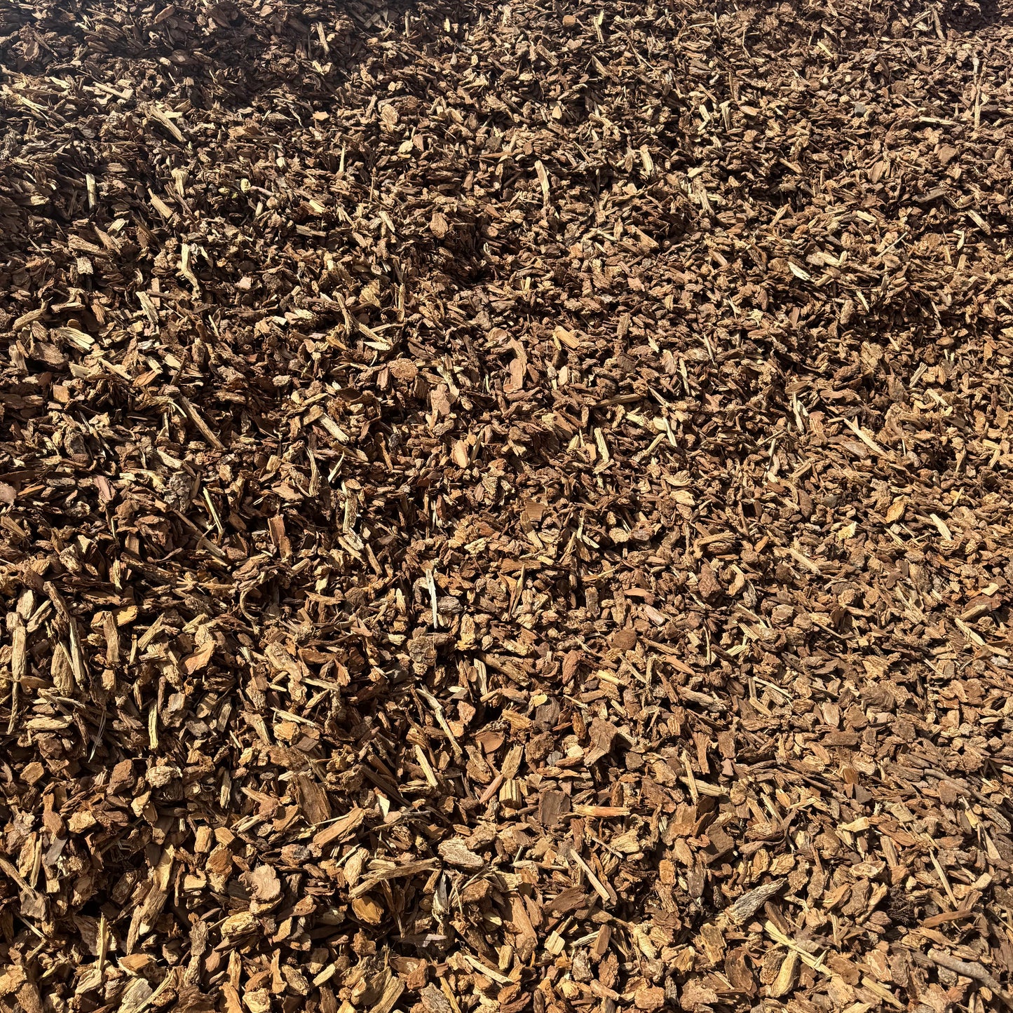 Medium Bark