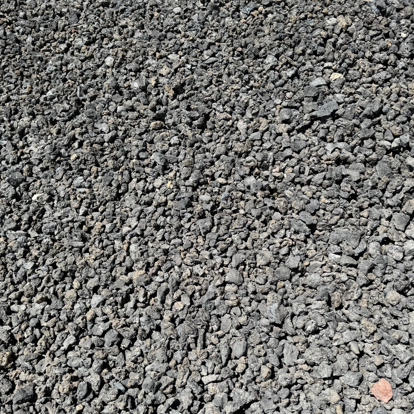 Black Lava Rock