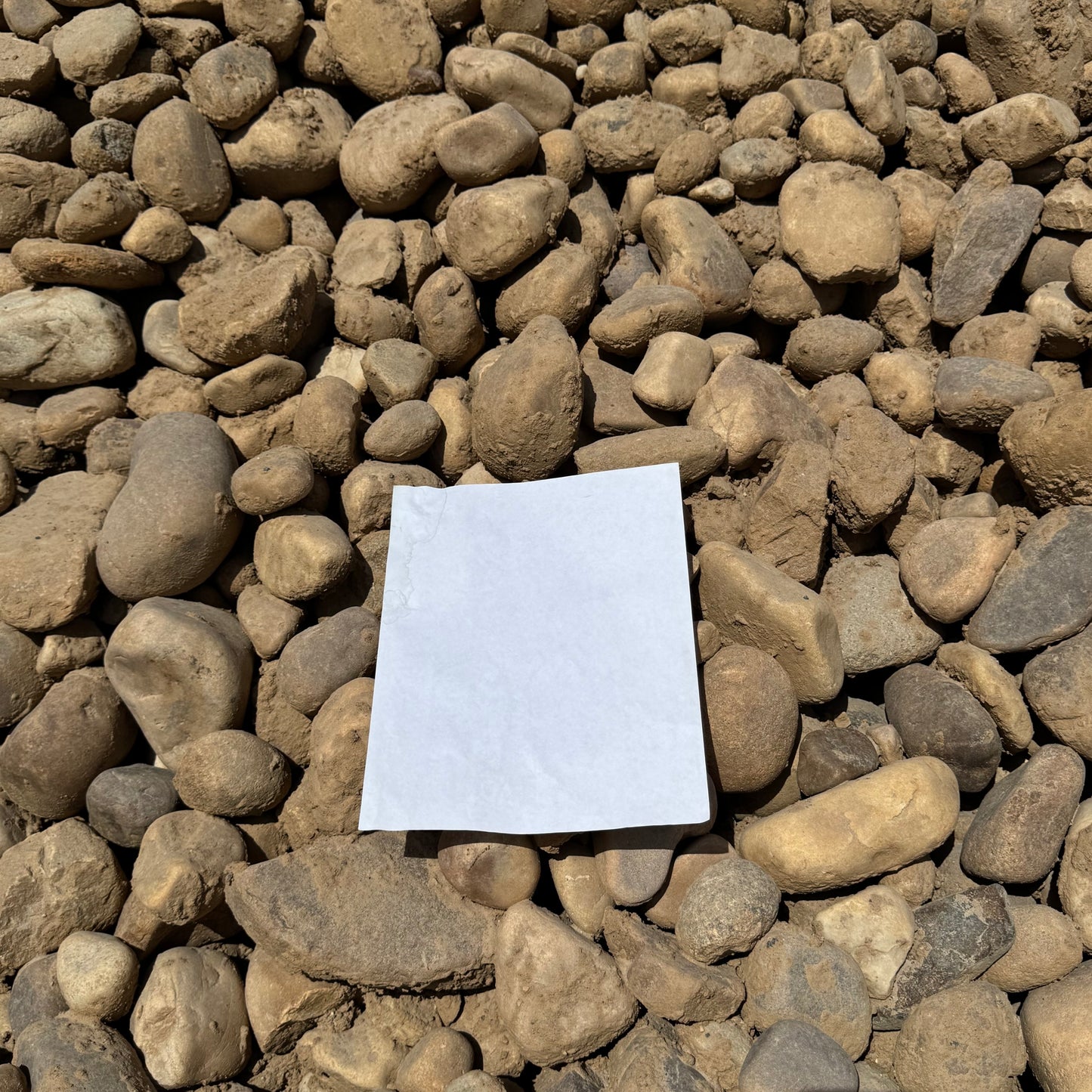 Jordanelle Cobble