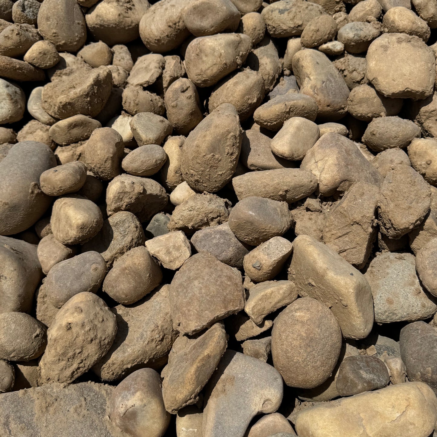 Jordanelle Cobble