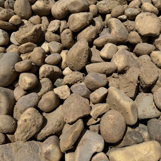 Jordanelle Cobble