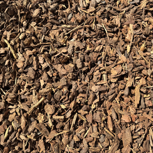 Small Bark