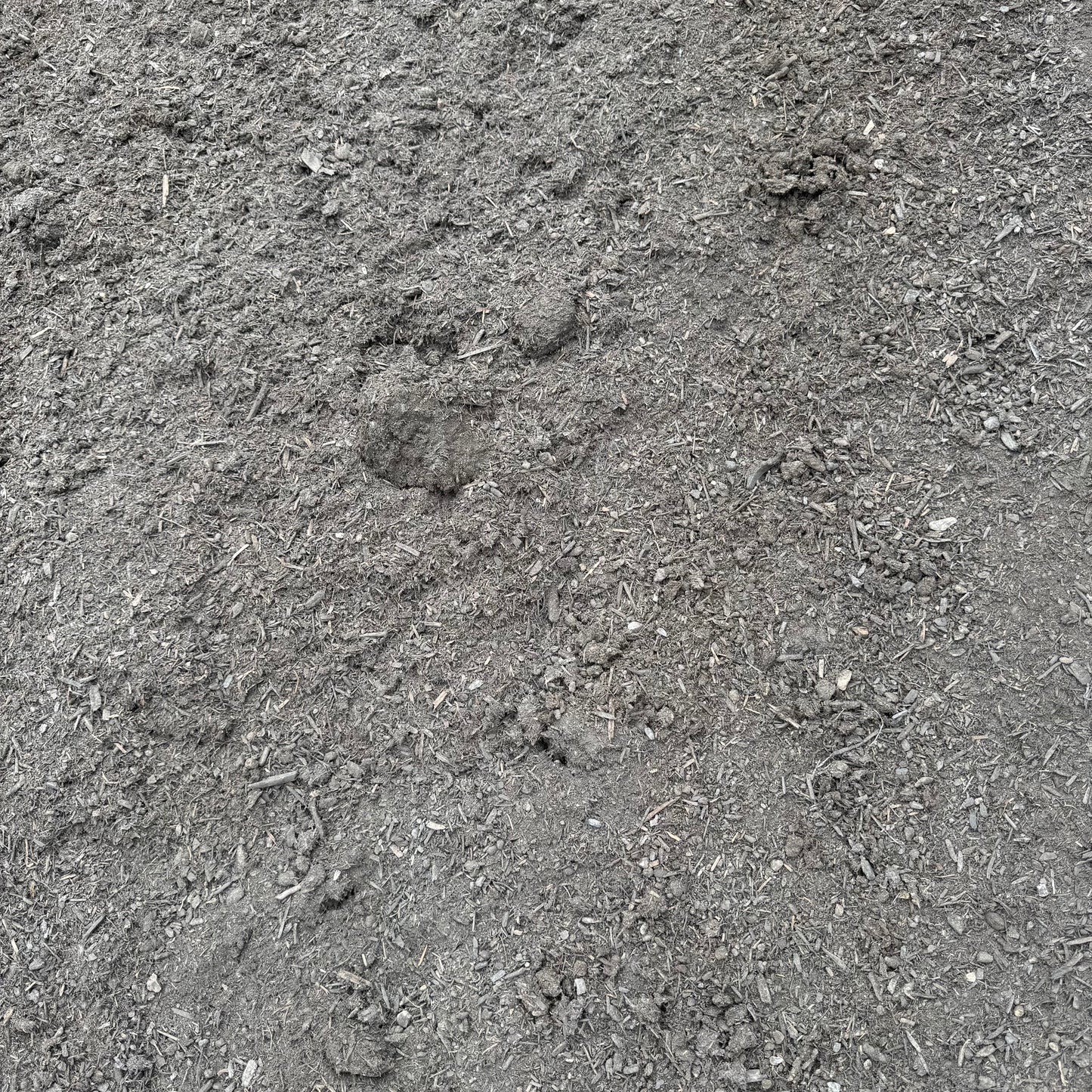 Premium Organic Compost (OMRI-certified)