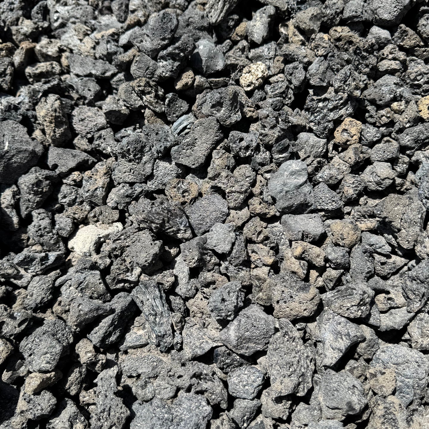 Black Lava Rock