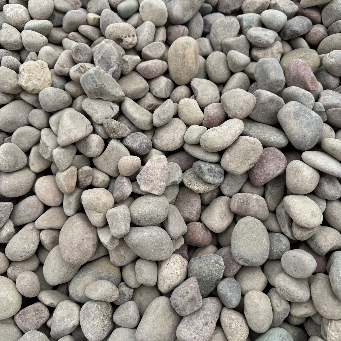 Rainbow Beach Cobble
