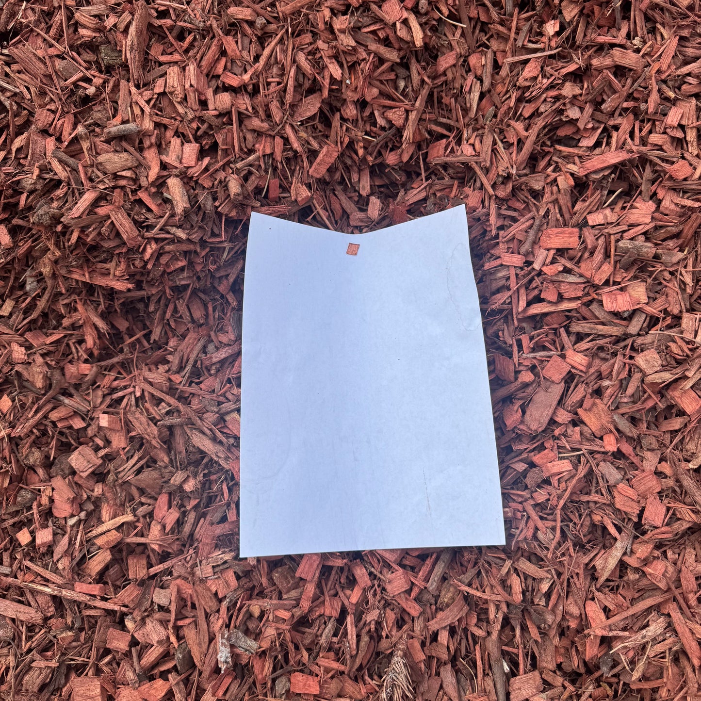 Red Mulch