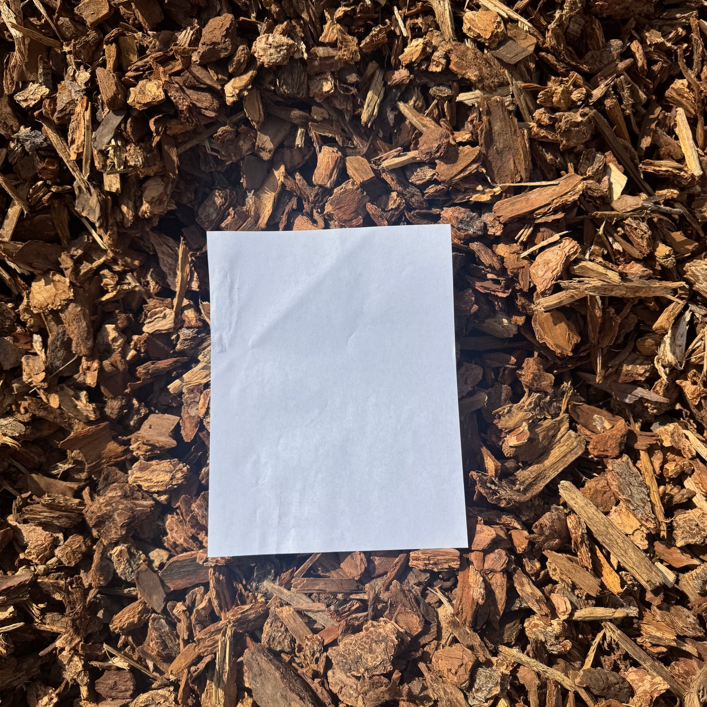Medium Bark
