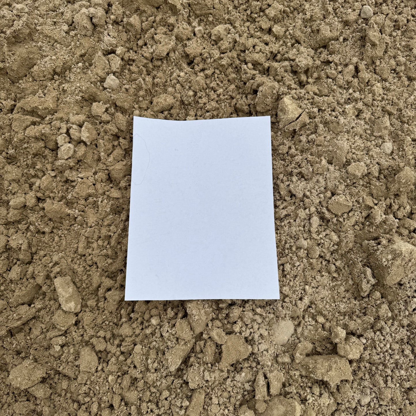 Beach Sand