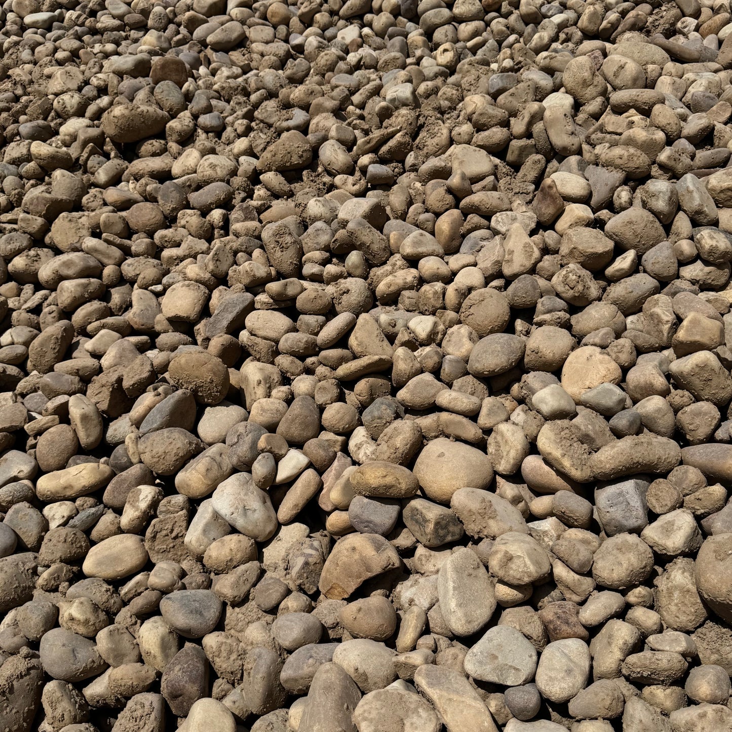 Jordanelle Cobble