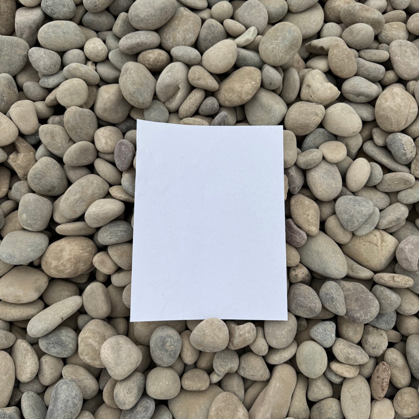 Glacier Cobble