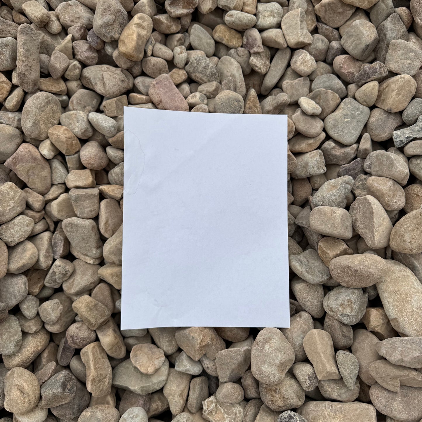 South Town Cobble