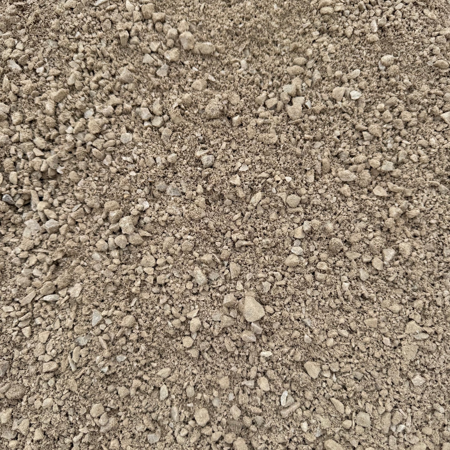 Chat Desert Pearl