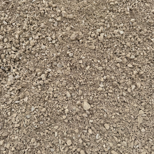 Chat Desert Pearl