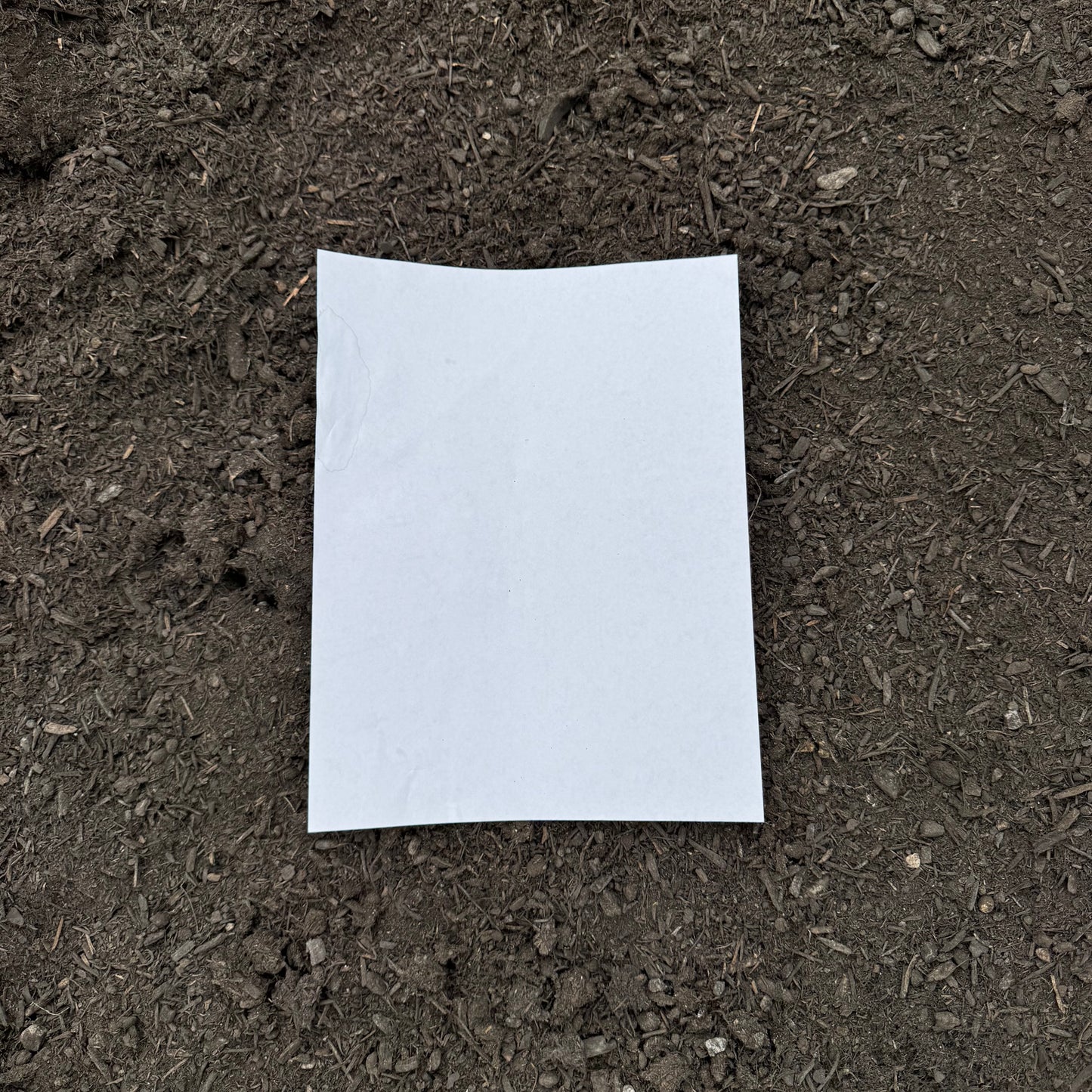 Premium Organic Compost (OMRI-certified)