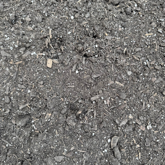 Box Garden Mix